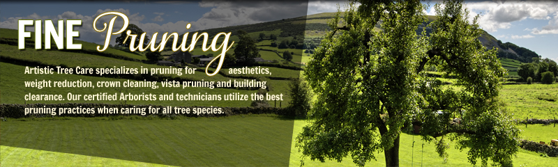 Fine Pruning