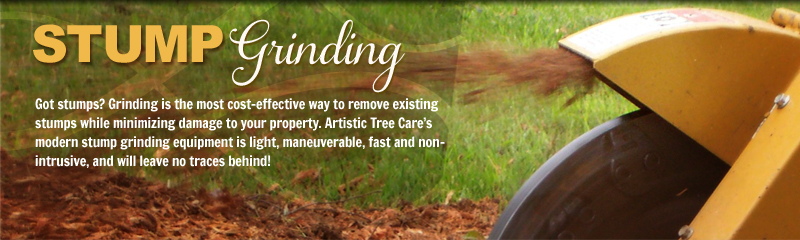 Stump Grinding